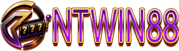 NTWIN88